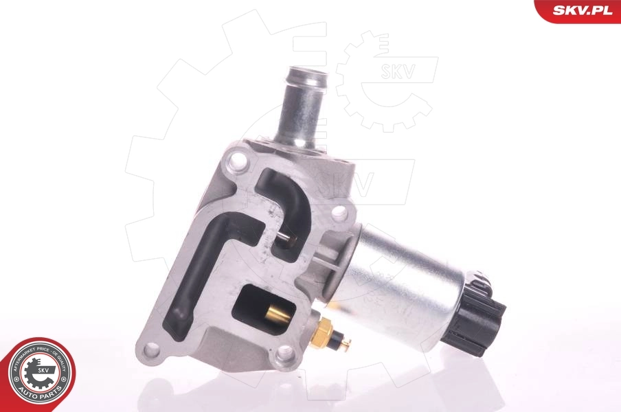 EGR Valve